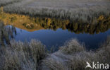 Nationaal Park Nockberge