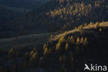 Nockberge National Park