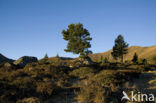 Nockberge National Park