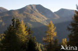 Nockberge National Park