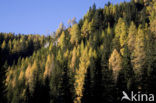 Nockberge National Park