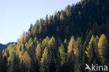 Nockberge National Park