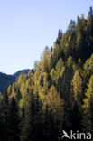 Nockberge National Park