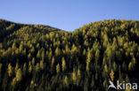 Nockberge National Park