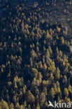 Nockberge National Park