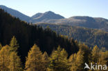 Nockberge National Park