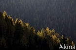 Nockberge National Park