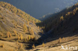Nockberge National Park