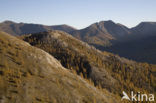 Nockberge National Park