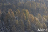 Nockberge National Park