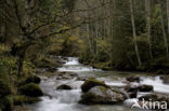 Nockberge National Park