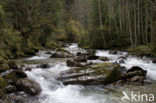 Nockberge National Park