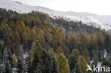 Nockberge National Park