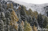 Nockberge National Park