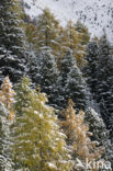 Nockberge National Park