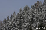 Nockberge National Park