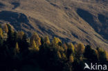 Nockberge National Park