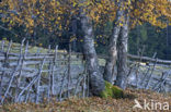 Nockberge National Park