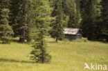 Nockberge National Park