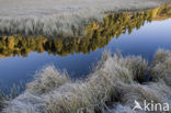 Nockberge National Park