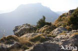 Parque Nacional de Ordesa y Monte Perdido