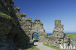 Tintagel Castle