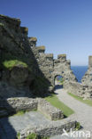 Tintagel Castle