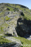 Tintagel Head