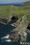 Tintagel Head