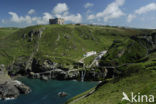 Tintagel