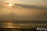 Waddensea