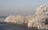 De Leijen