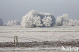 De Leijen