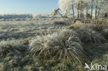 De Mortelen en Heerenbeek