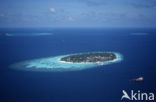 Indian Ocean