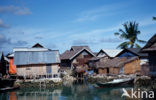 Kepulauan Wakatobi National Park