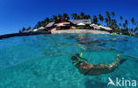 Kepulauan Wakatobi National Park