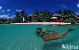 Kepulauan Wakatobi National Park