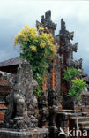 Lesser Sunda Islands