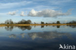 Landschotse Heide