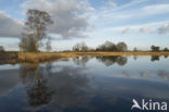 Landschotse Heide