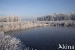 National Park De Alde Feanen