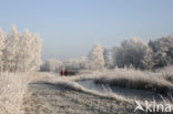 National Park De Alde Feanen