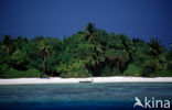 Rasdhoo Atol
