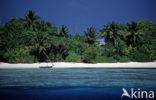 Rasdhoo Atol