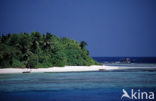 Rasdhoo Atol