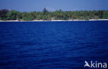 Rasdhoo Atol