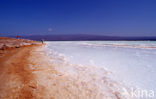 Lake Assal