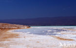 Lake Assal