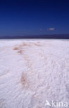 Lake Assal